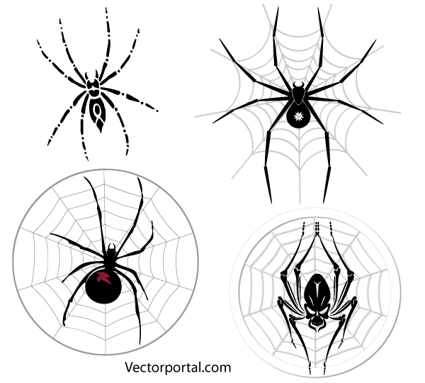 600x540 Free Spider Web Vector Images 123freevectors