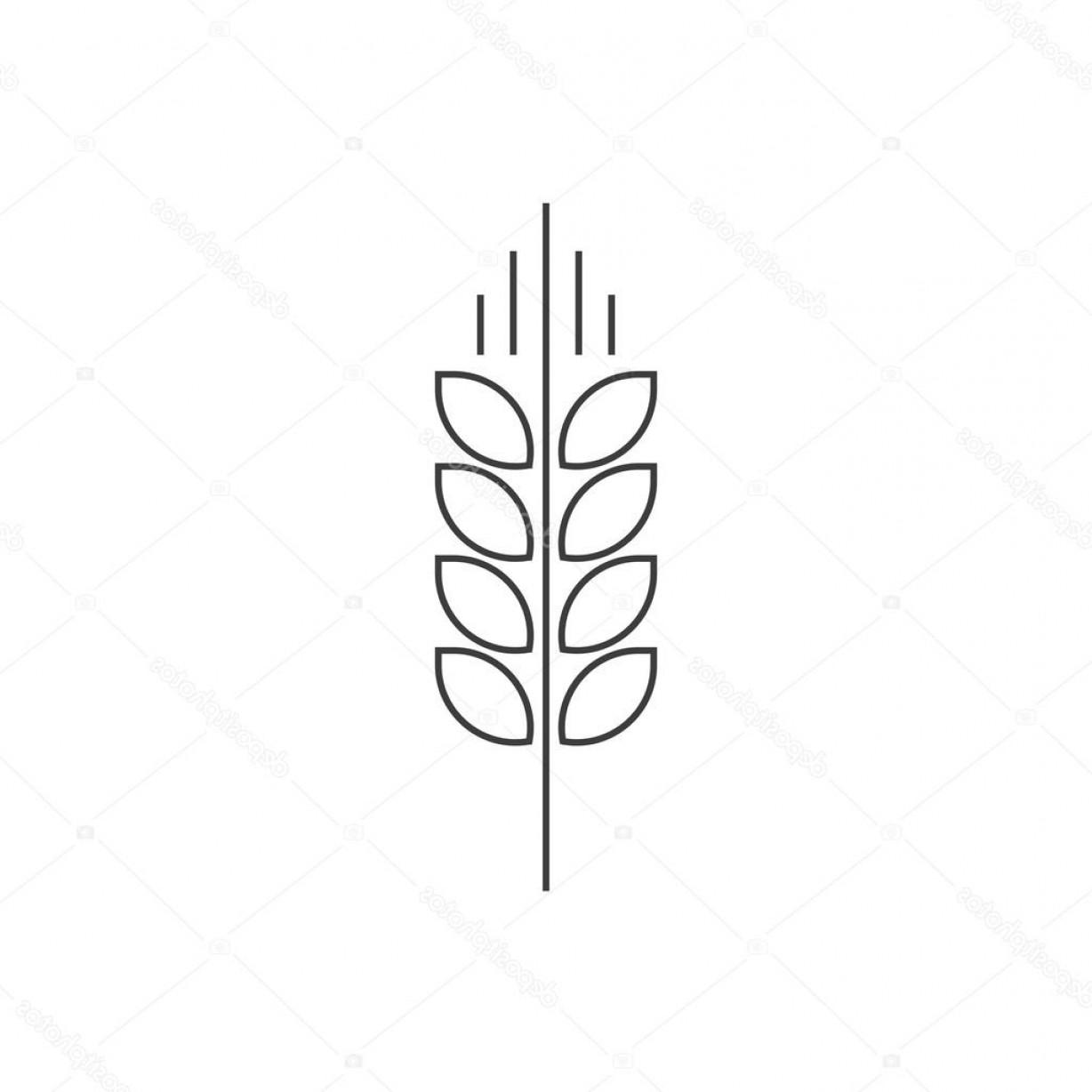 1228x1228 Stock Illustration Wheat Spike Vector Logo Grain Arenawp