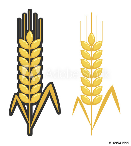 450x500 Wheat Spike. Vector Flat Design.