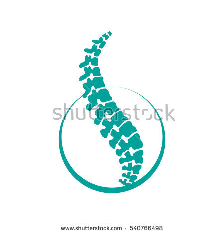 450x470 Modern Spine Vector