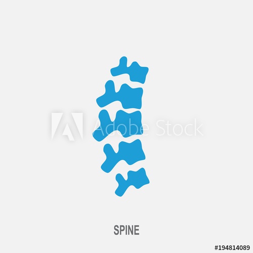 500x500 Spine Vector Icon. Spine Diagnostics And Therapy Symbol