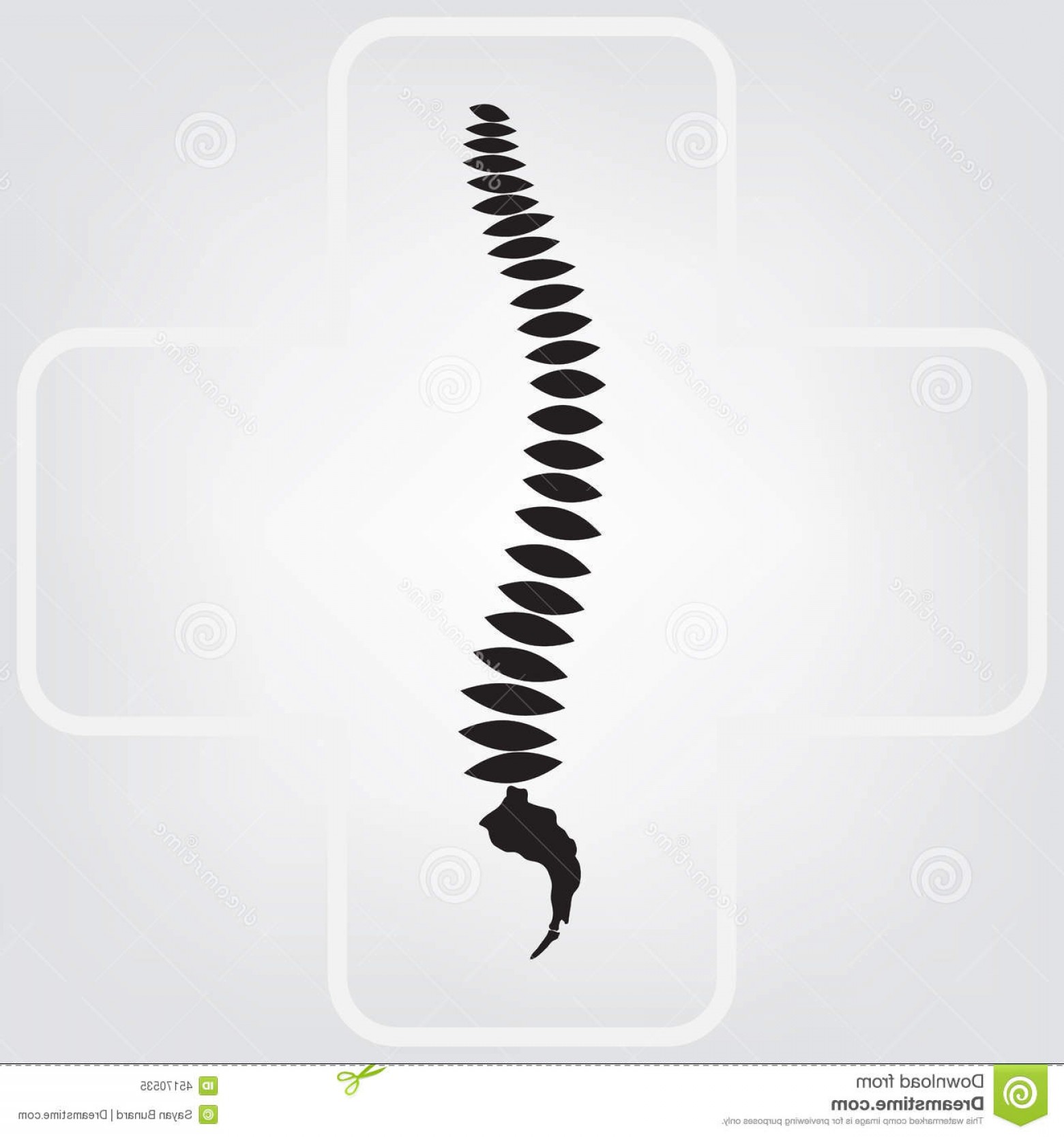 1560x1668 Stock Illustration Spine Vector Illustration Eps Image Arenawp