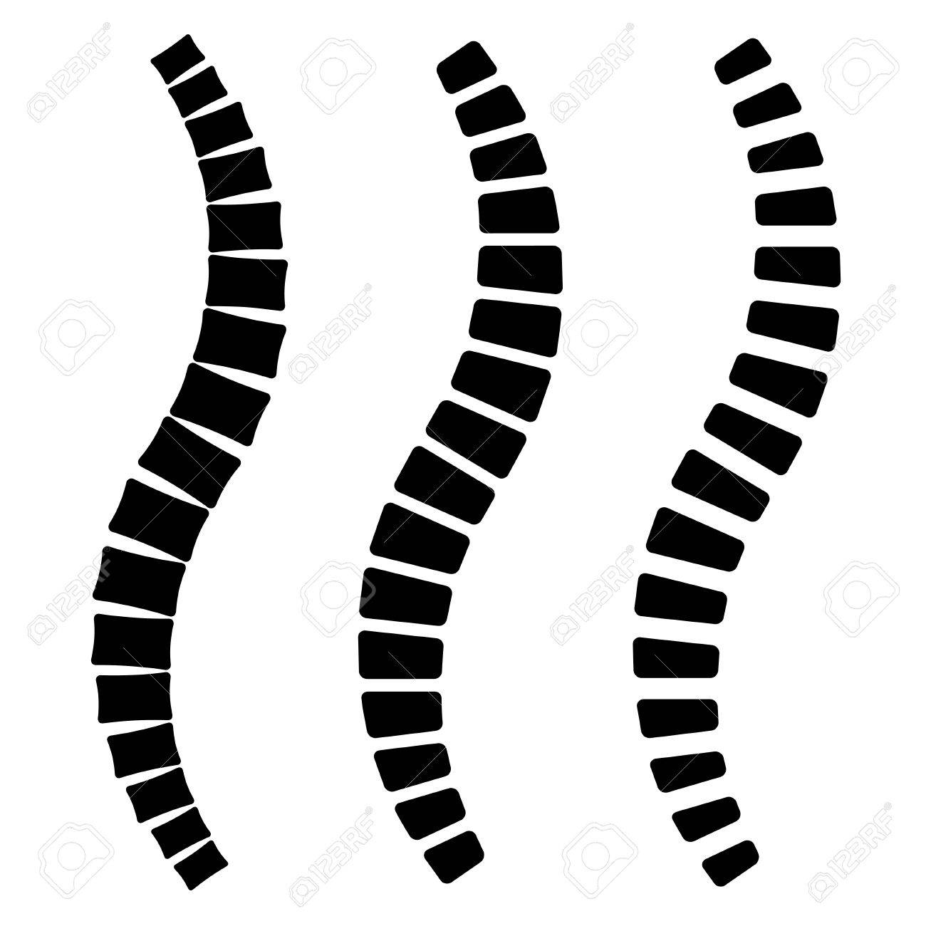 1300x1300 Vector Clipart Spine