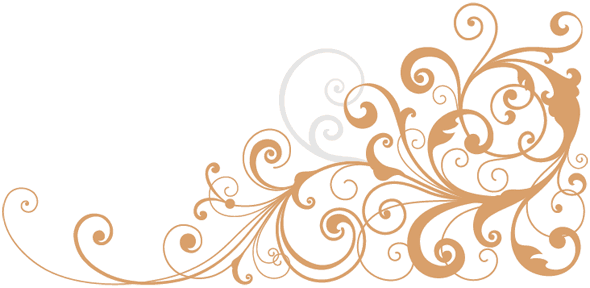 590x288 Spirals Reborn In Adobe Illustrator, A Article