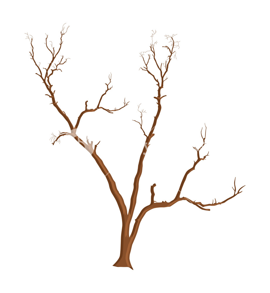 921x1000 Scary Dead Tree Vector Royalty Free Stock Image