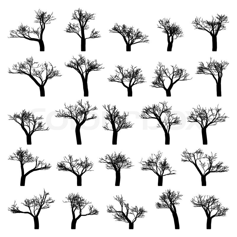 800x800 Spooky Tree Silhouette Vector Isolated On White Stock Vector