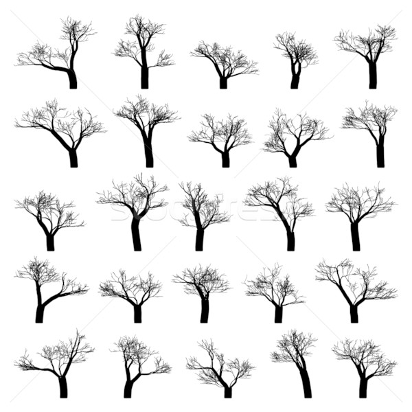 600x600 Spooky Tree Silhouette Vector Isolated. Eps 8 Vector Illustration
