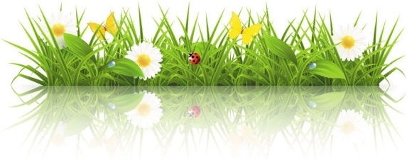 573x226 Spring Free Vector Download (2,180 Free Vector) For Commercial Use