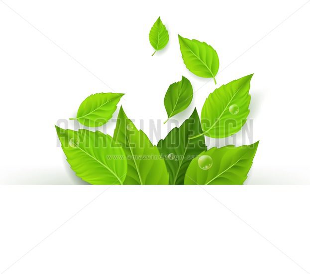 623x549 Spring Vector Leaves Background Design