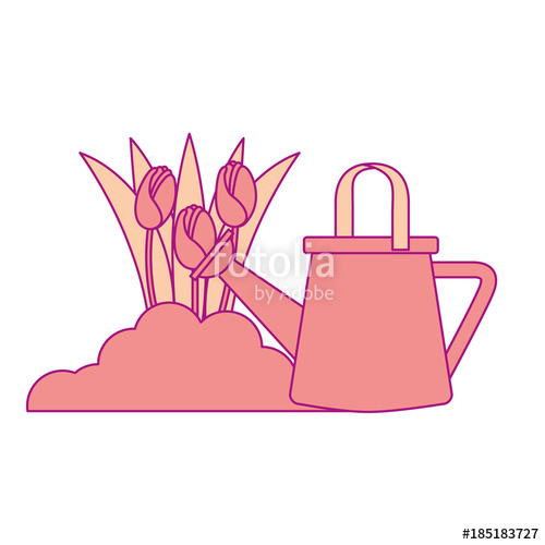 500x500 Beautiful Roses Cultivated With Sprinkler Vector Illustration