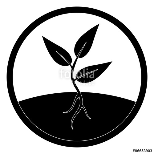 500x500 Plant Sprout Vector Icon Stock Image And Royalty Free Vector