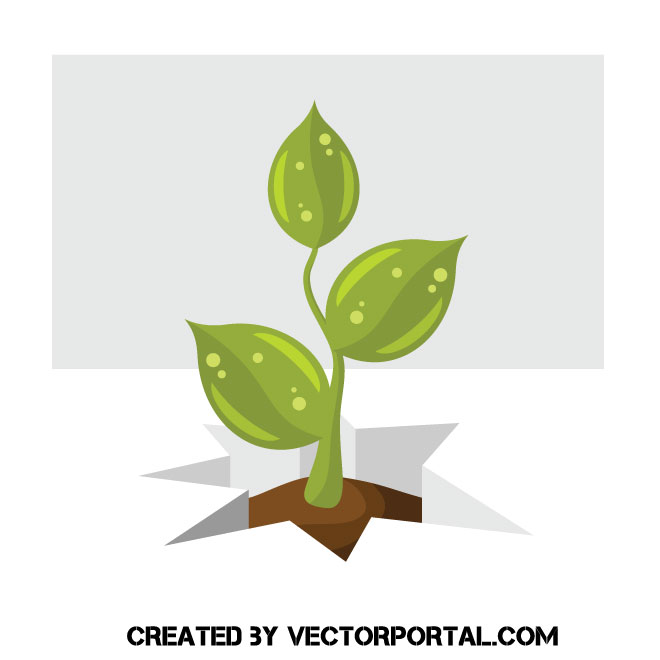 660x660 Small Green Sprout Vector