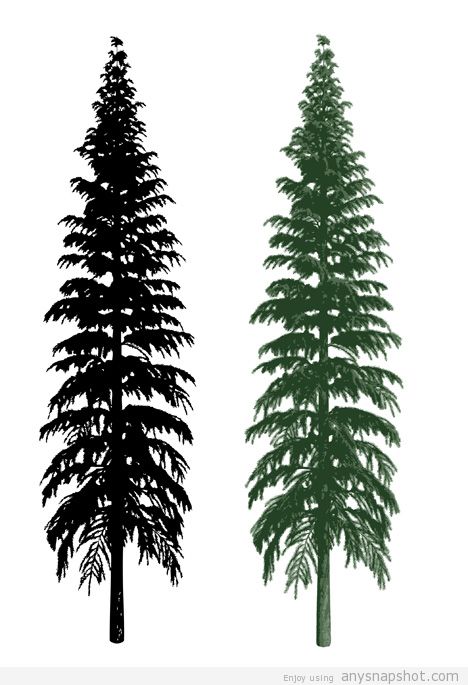 468x685 Sillhouette And Realistic Tree Vector