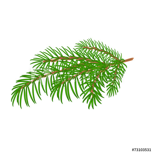 500x500 Spruce Branch Christmas Tree Vector