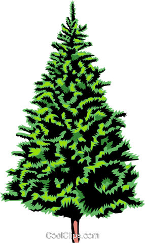 286x480 Spruce Tree Royalty Free Vector Clip Art Illustration Natu0634