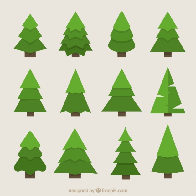 626x626 Fir Tree Vectors, Photos And Psd Files Free Download