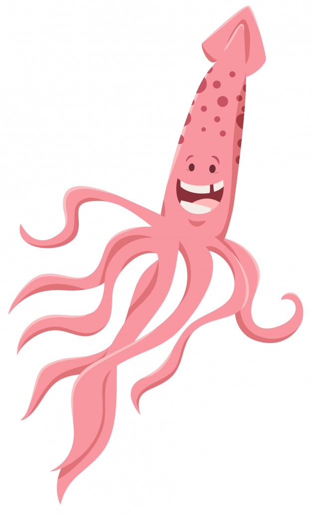 626x1033 Squid Vectors, Photos And Psd Files Free Download