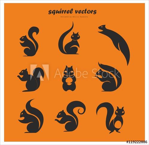 500x488 Cute Squirrel Vectors