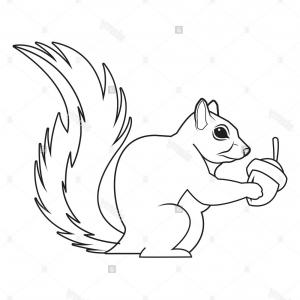 300x300 Photostock Vector Vector Cute Cartoon Squirrel With Mushroom