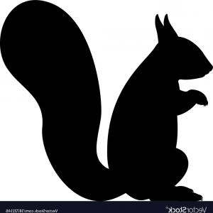 300x300 Black Silhouette Of A Squirrel Vector Arenawp