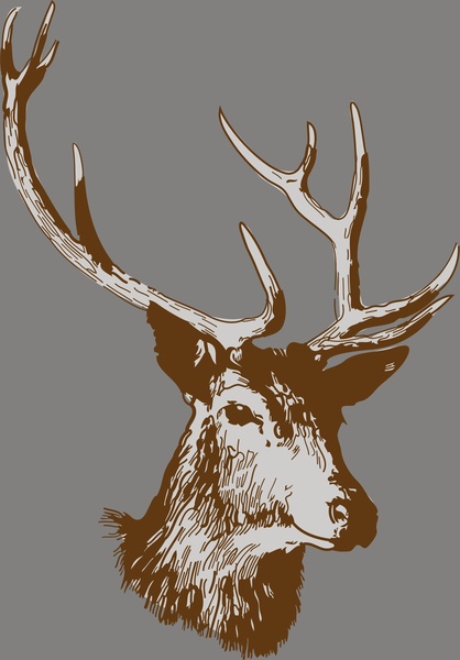 Stag Head Vector at GetDrawings | Free download