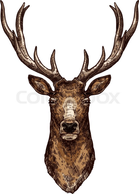 Stag Head Vector at GetDrawings | Free download