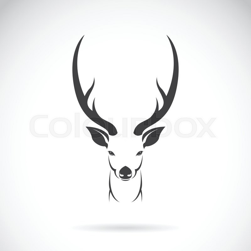 800x800 Vector Image Of An Deer Head Design On White Background, Vector