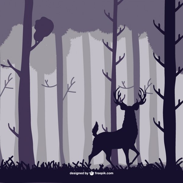 600x600 Forest Stag Vector Illustration On Behance