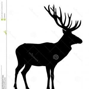 300x300 Royalty Free Stock Photo Deer Vector Illustration Silhouette Image