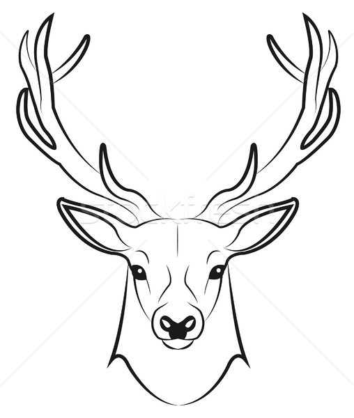 508x600 Stag Vector Illustration Linda Brotkorb (Li Bro) ( 8256359