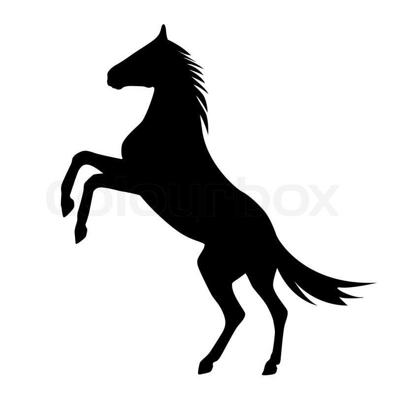 800x800 Rearing Up Horse Vector Silhouette Stock Vector Colourbox