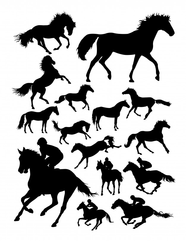 626x812 Stallion Vectors, Photos And Psd Files Free Download