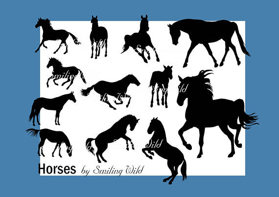 570x403 Stallion Clipart Vector