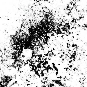 300x300 Photostock Vector Grunge Graphics Vintage Typography Print Biker T