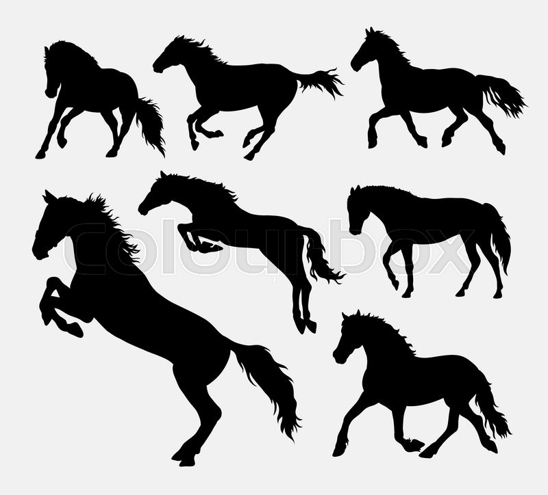 800x724 Horse, Jumping, Running, Walking, Standing, Silhouette. Good Use