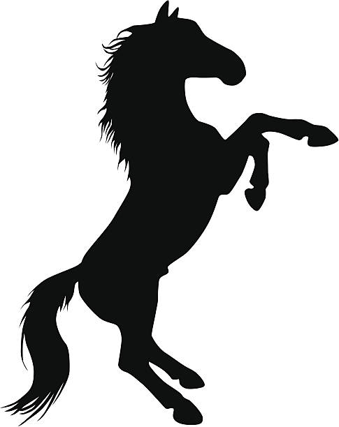 485x612 Horse Clipart Vector ~ Frames ~ Illustrations ~ Hd Images ~ Photo