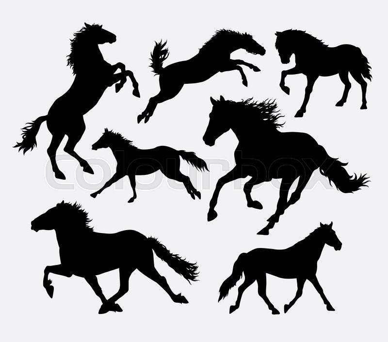 800x706 Horse Running, Jumping, Standing, Walking Silhouette. Good Use For