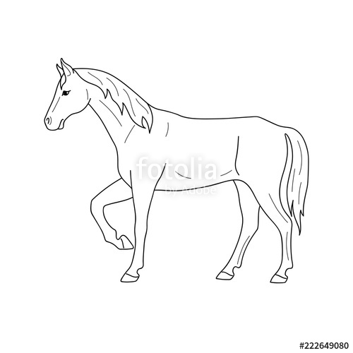 500x500 Isolated Black Outline Standing Horse On White Background. Side