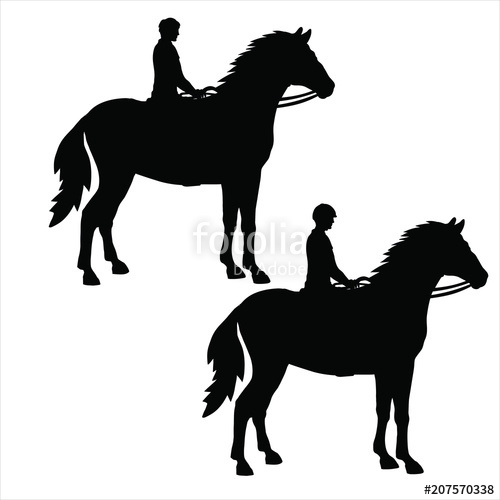 500x500 Silhouette Of A Horseman On A Standing Horse Stock Image And