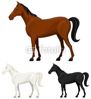 367x400 Vector Illustration Of A Standing Horse In Three Color Variations