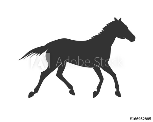 500x400 Beautiful Standing Horse Silhouette