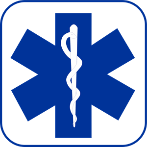 300x300 Star Of Life Logo Vector (.eps) Free Download