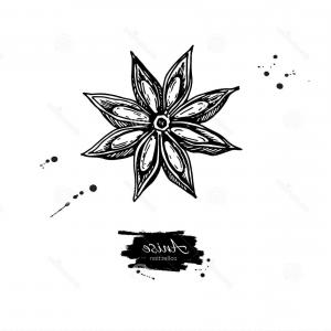 300x300 Photoabstract Falling Star Vector Black Shooting Star With Elegant