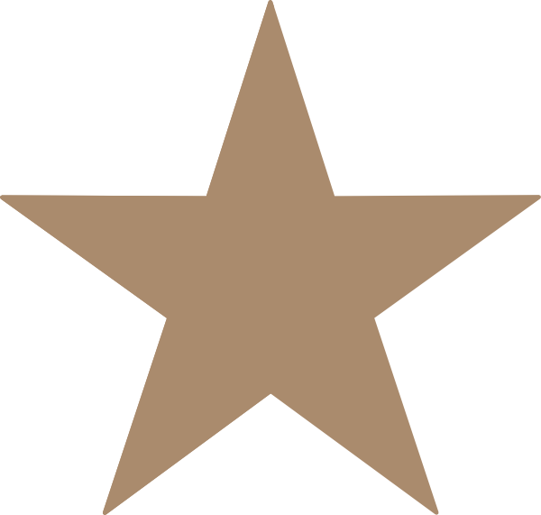 600x571 Star Vector