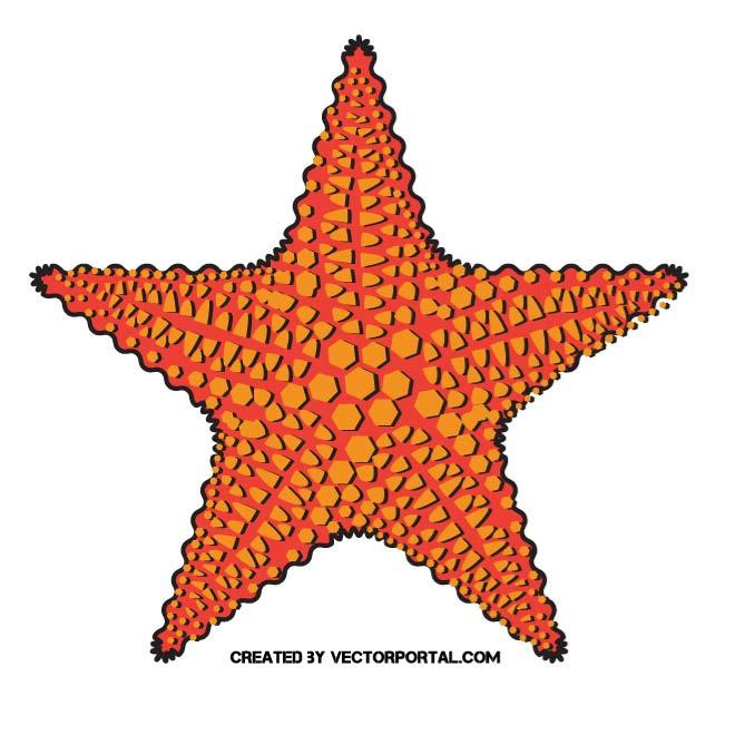 660x660 Starfish Vector Clip Art