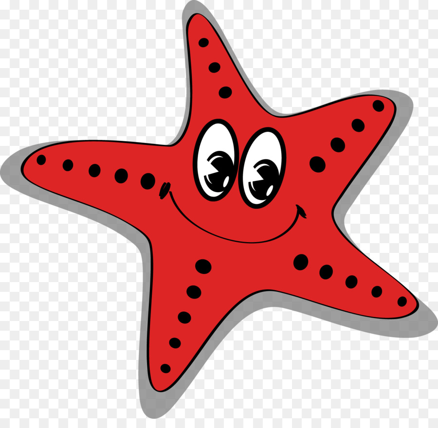 900x880 Starfish Cartoon Sea