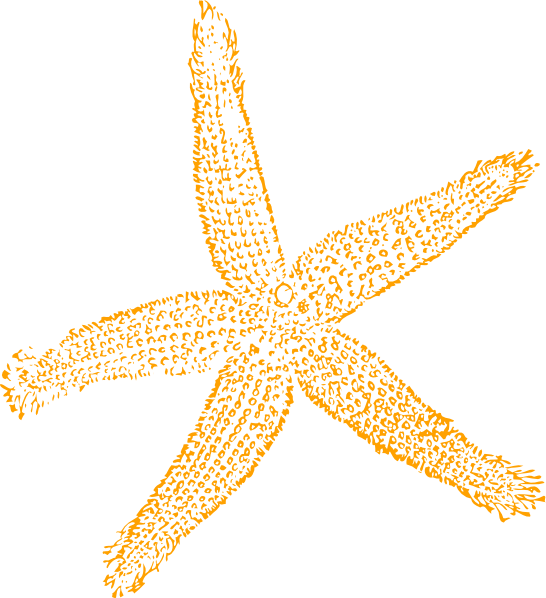 546x598 Starfish Clipart Vector