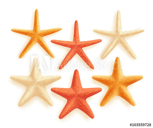 500x419 3d Realistic Set Of Vector Starfish With Different Colors For