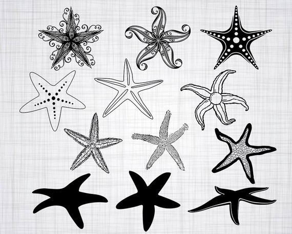 570x456 Starfish Svg Bundle Starfish Svg Starfish Clipart Cut Files Etsy