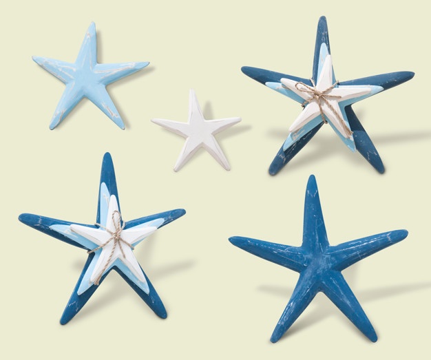626x523 Starfish Vectors, Photos And Psd Files Free Download